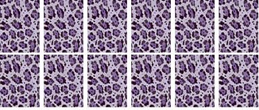 PL 40 Adesivos para unhas
